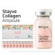 STAYVE Collagen Ampoules